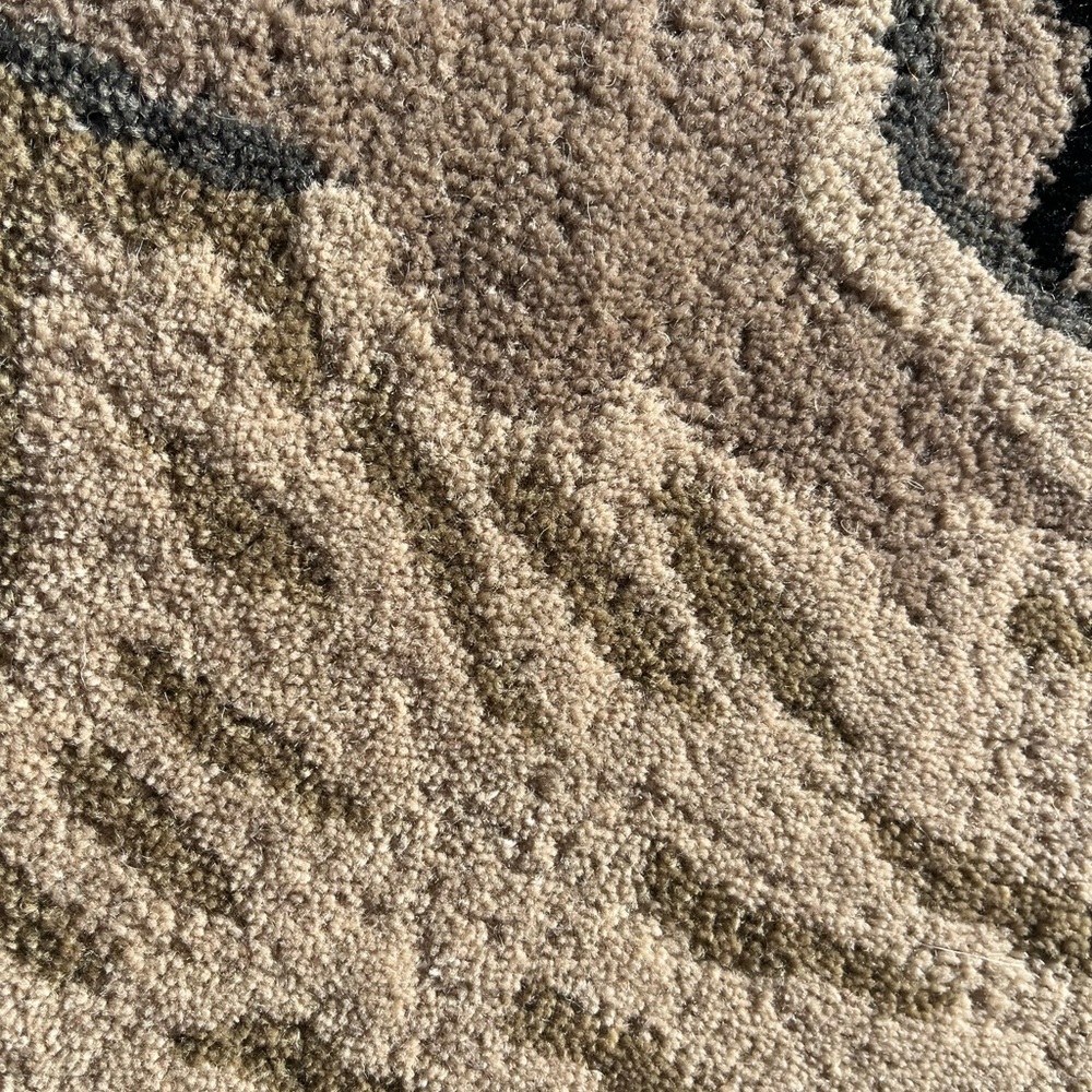 Lion Oushak Rug - Picture 5 of 6